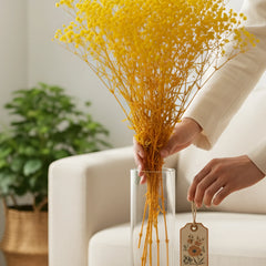 Gypso Yellow (FS-04)
