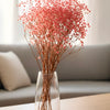 Gypso Pink (FS-04)