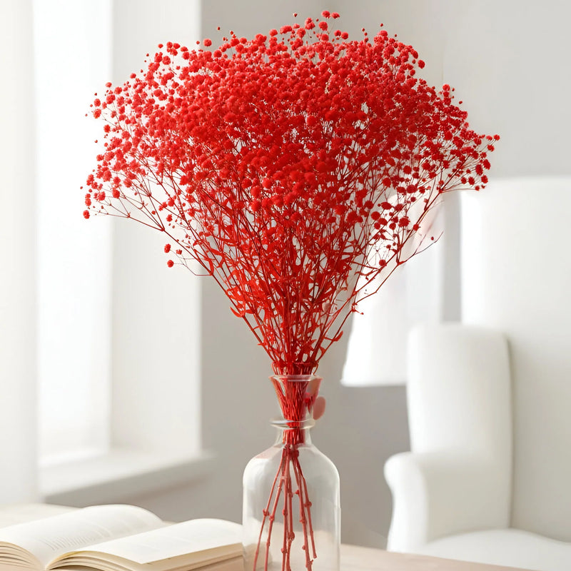Gypso Red (FS-04)