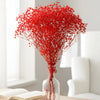 Gypso Red (FS-04)