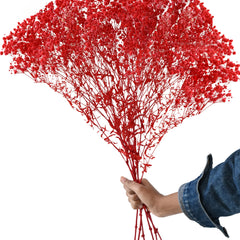 Gypso Red (FS-04)