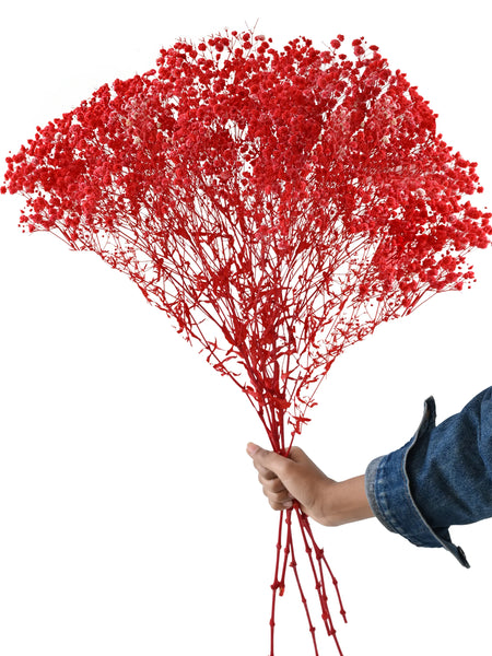 Gypso Red (FS-04)