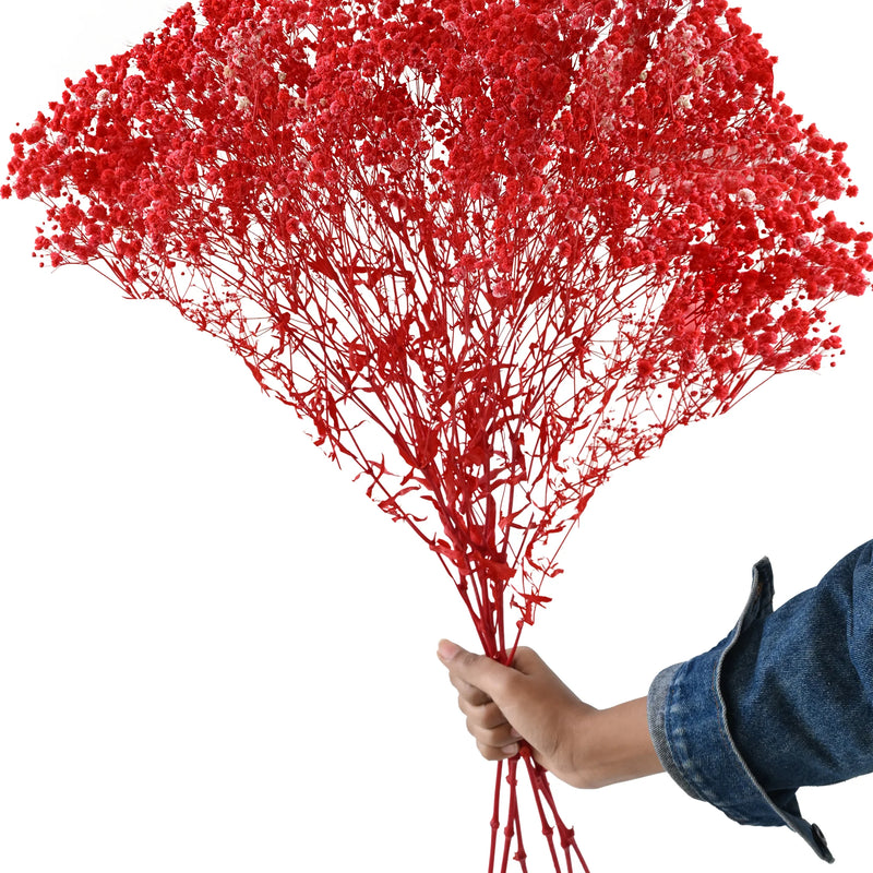 Gypso Red (FS-04)