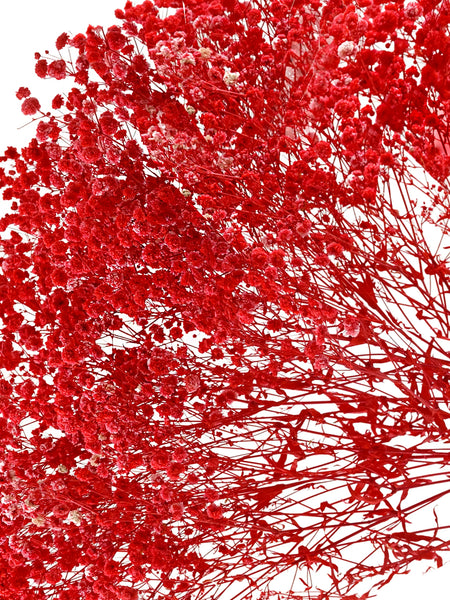 Gypso Red (FS-04)