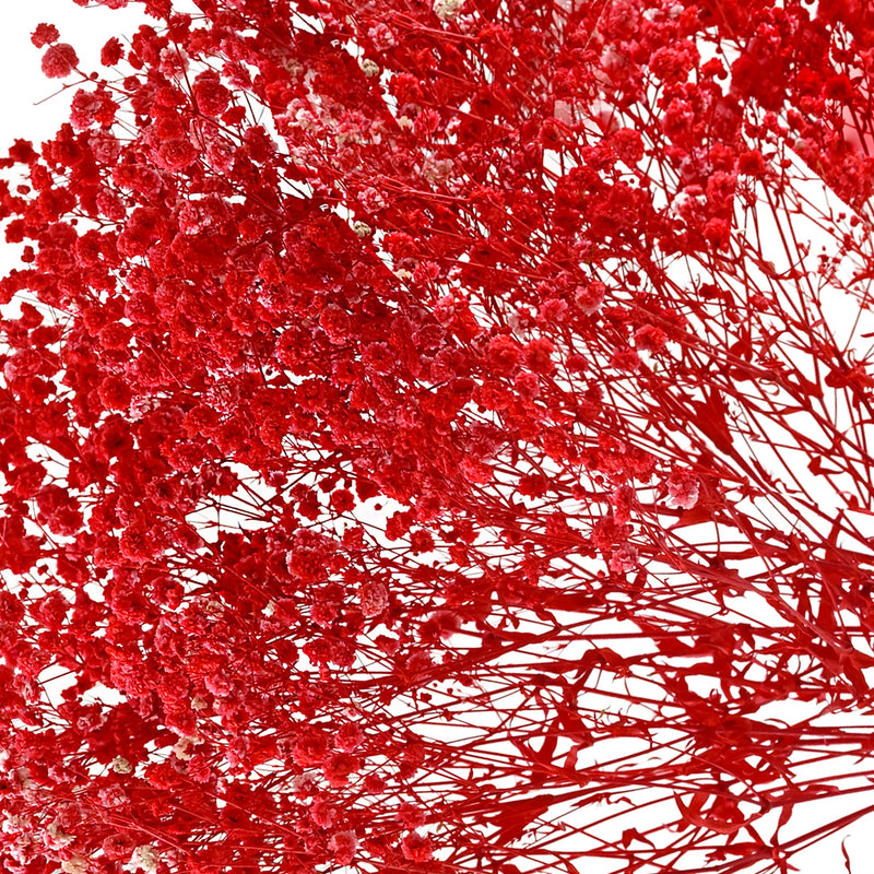 Gypso Red (FS-04)