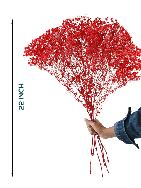 Gypso Red (FS-04)