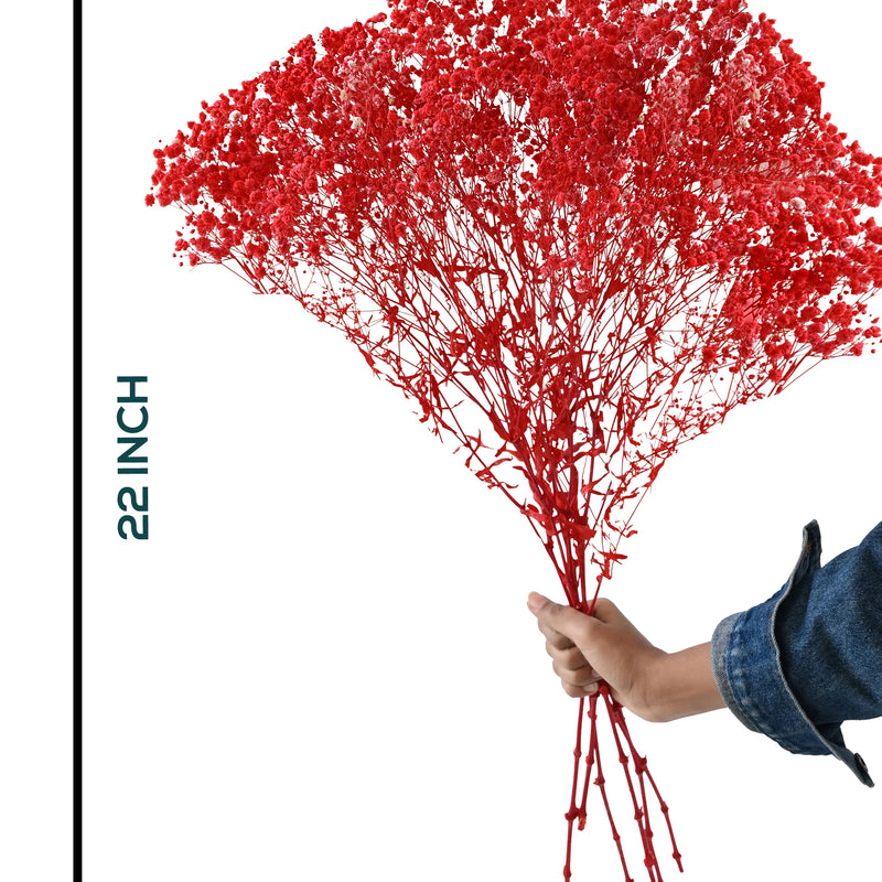 Gypso Red (FS-04)