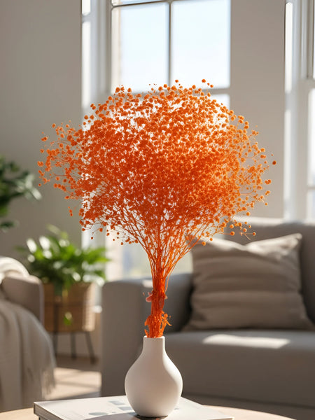 Gypso Orange (FS-04)