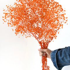 Gypso Orange (FS-04)