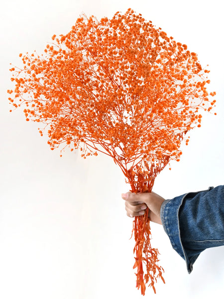 Gypso Orange (FS-04)