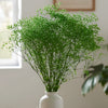 Gypso Green (FS-04)