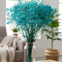 Gypso Blue (FS-04)