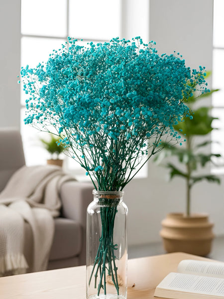 Gypso Blue (FS-04)