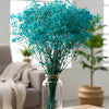 Gypso Blue (FS-04)