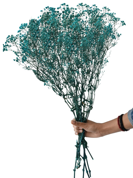 Gypso Blue (FS-04)