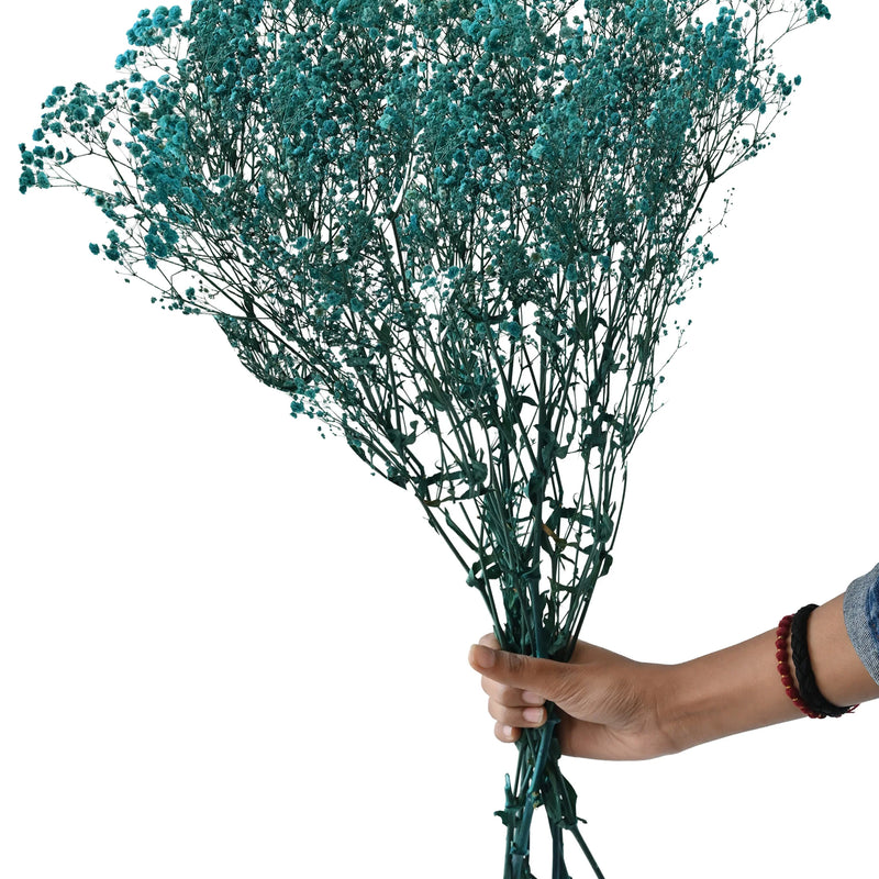 Gypso Blue (FS-04)