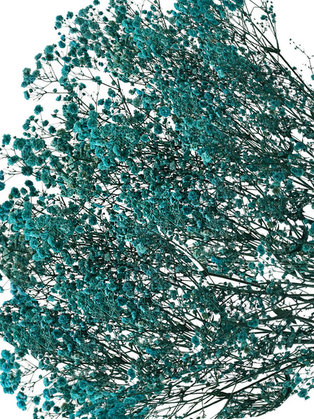 Gypso Blue (FS-04)