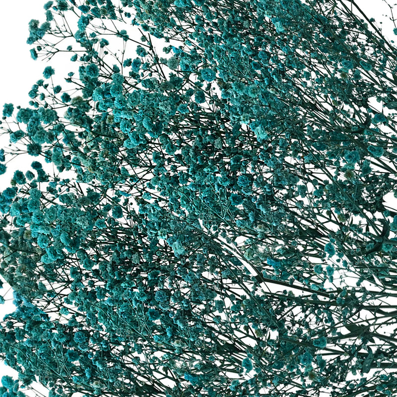 Gypso Blue (FS-04)