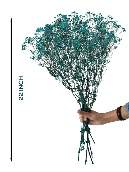 Gypso Blue (FS-04)