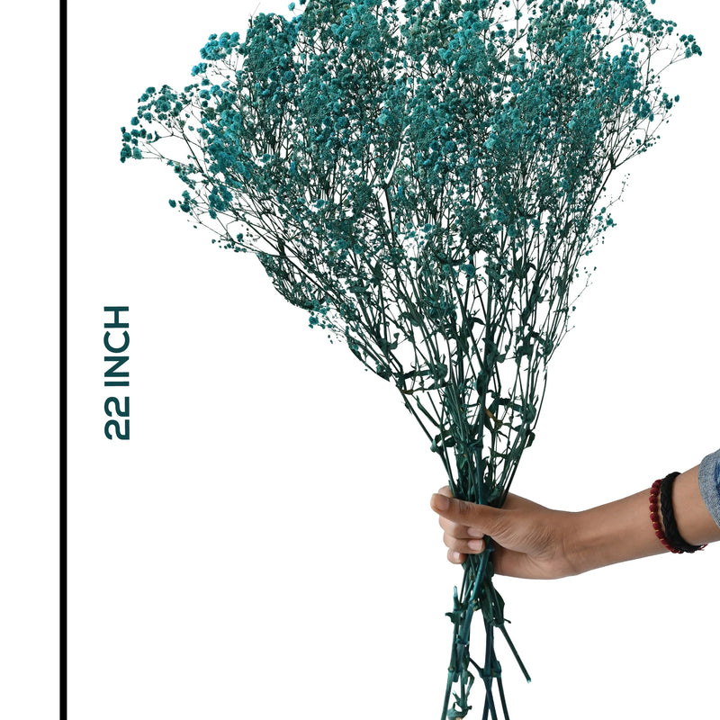 Gypso Blue (FS-04)