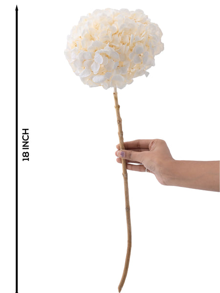 Hydrangea White (FS-07)