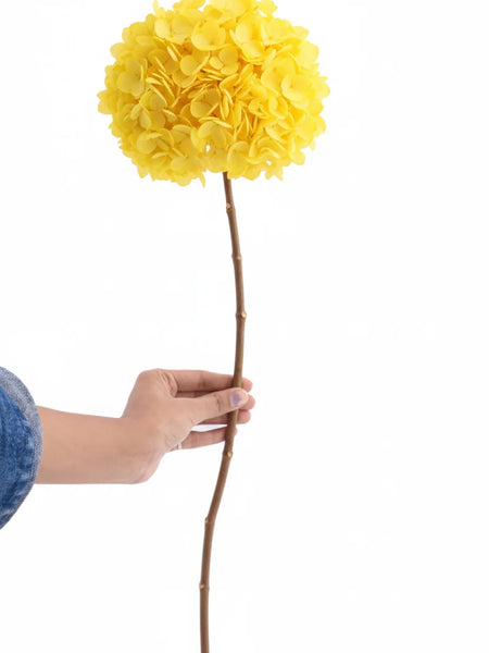 Hydrangea Yellow (FS-07)