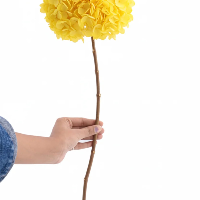 Hydrangea Yellow (FS-07)