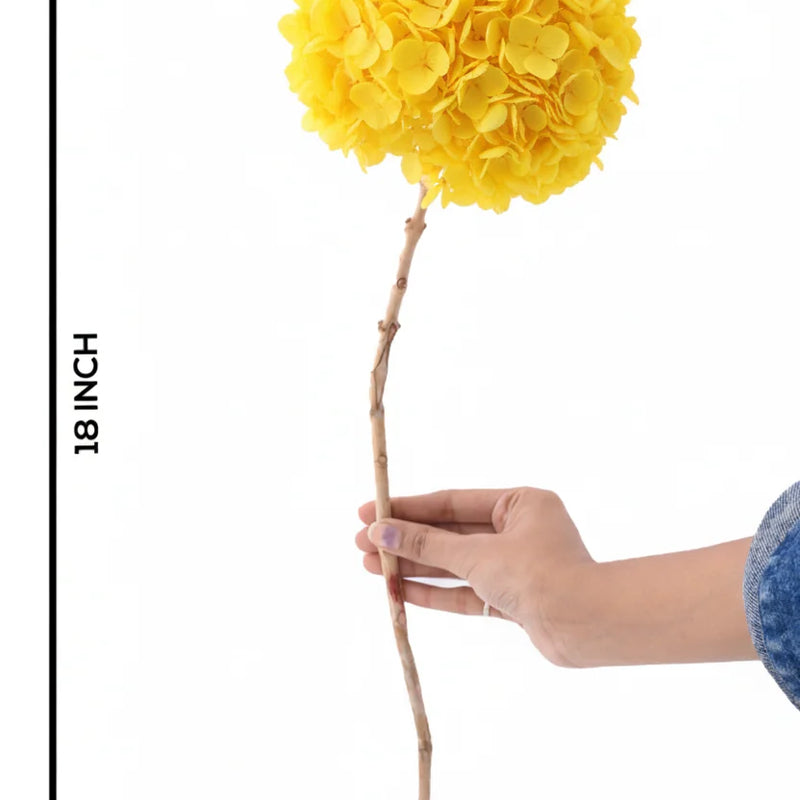 Hydrangea Yellow (FS-07)