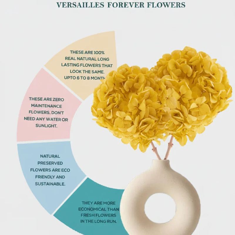 Hydrangea Yellow (FS-07)