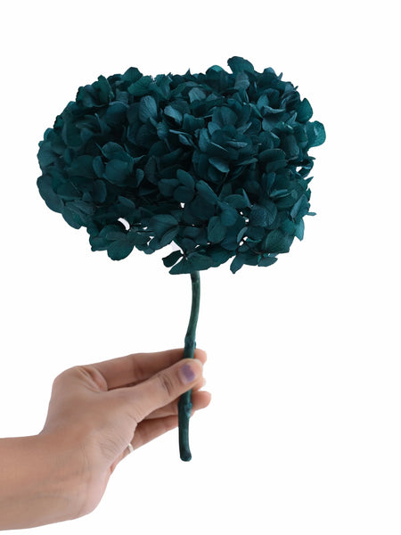 Hydrangea Blue (FS-07)