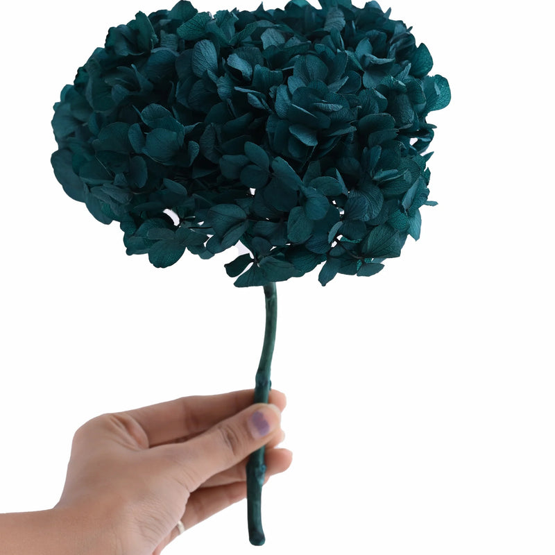 Hydrangea Blue (FS-07)