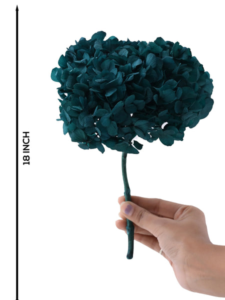 Hydrangea Blue (FS-07)
