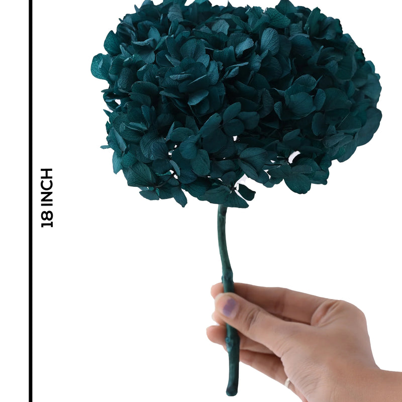 Hydrangea Blue (FS-07)