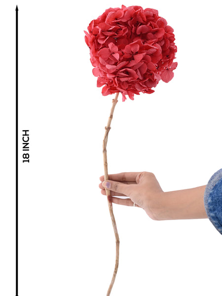 Hydrangea Red (FS-07)