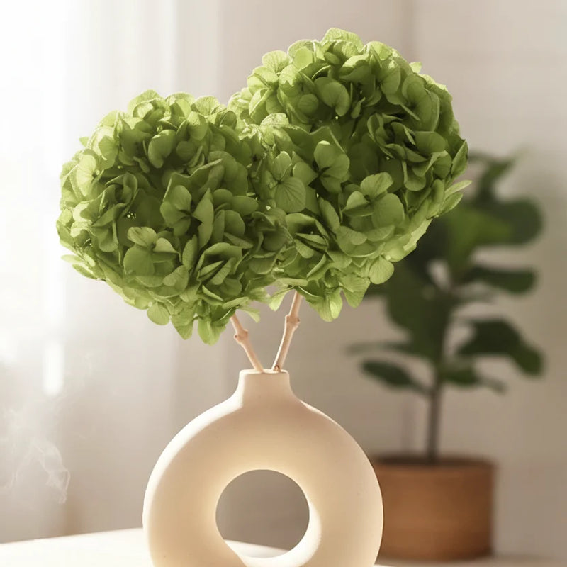 Hydrangea Green (FS-07)