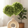 Hydrangea Green (FS-07)