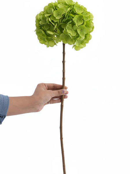 Hydrangea Green (FS-07)