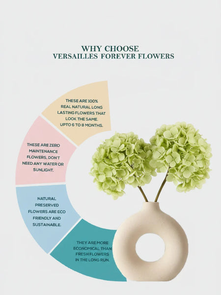 Hydrangea Green (FS-07)