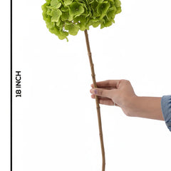 Hydrangea Green (FS-07)