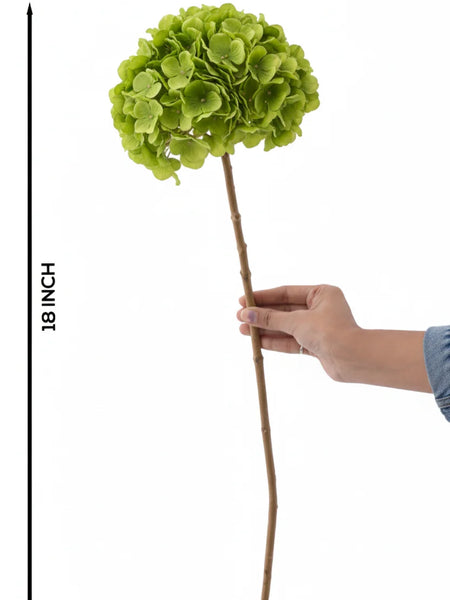 Hydrangea Green (FS-07)