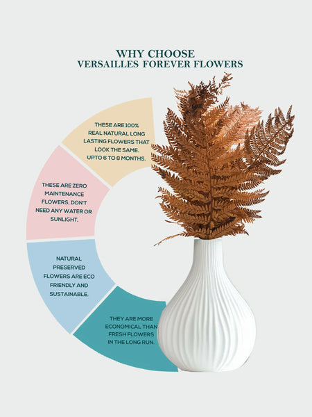 Leather Fern Brown (FS-13)