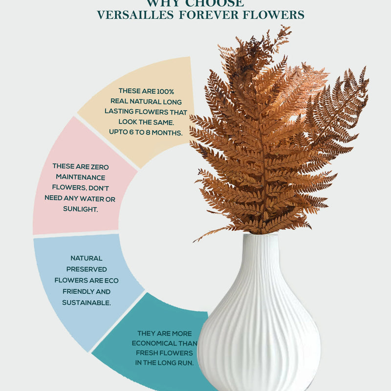 Leather Fern Brown (FS-13)