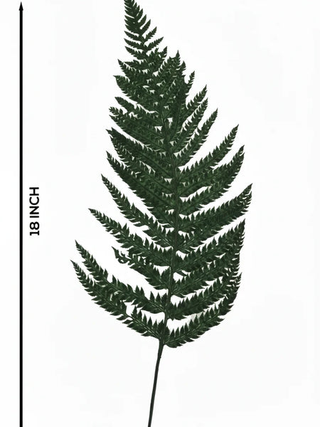 Leather Fern Green (FS-13)