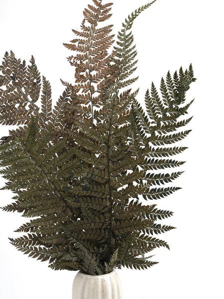 Leather Fern Green (FS-13)
