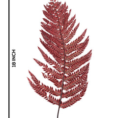 Leather Fern Red (FS-13)