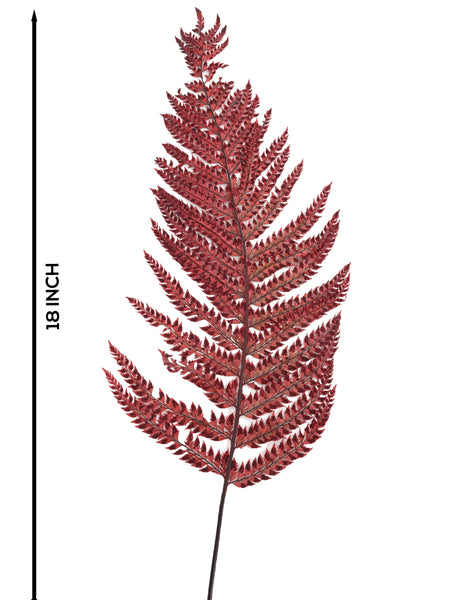 Leather Fern Red (FS-13)