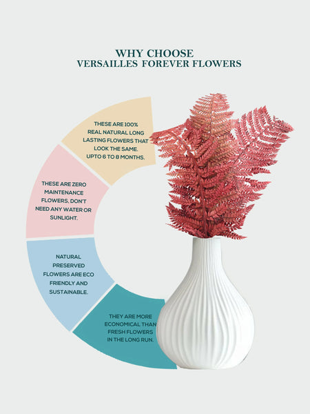 Leather Fern Red (FS-13)