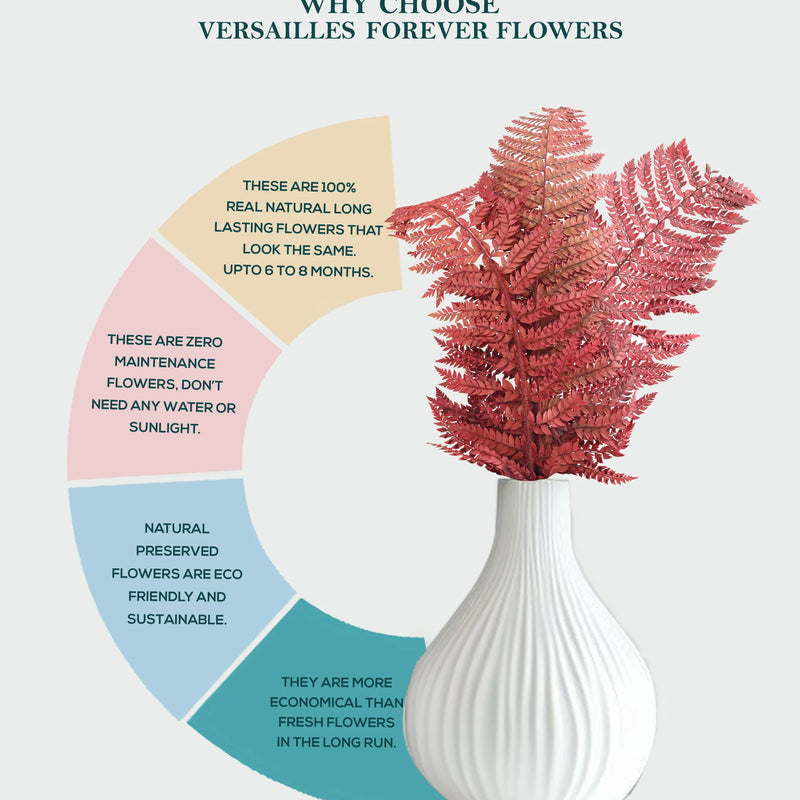 Leather Fern Red (FS-13)