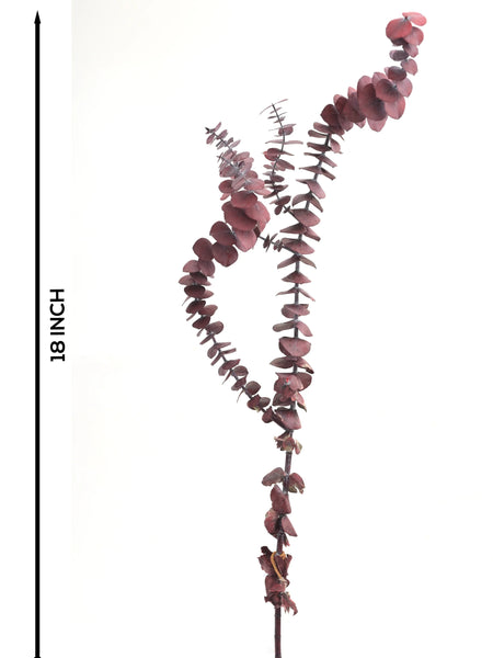 Baby Dollar Red (FS-14)