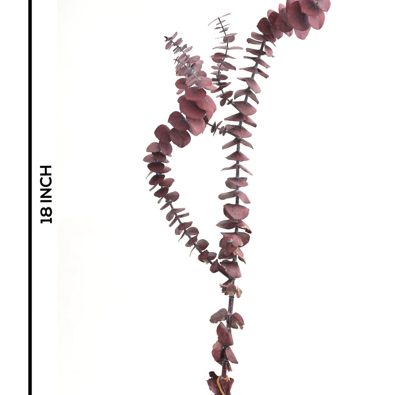 Baby Dollar Red (FS-14)
